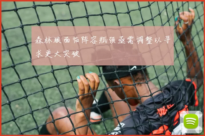 森林狼面临阵容瓶颈亟需调整以寻求更大突破